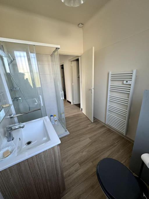Appartement Sabatier T4 Avec Terrasse Et Jardin Каркассон Экстерьер фото